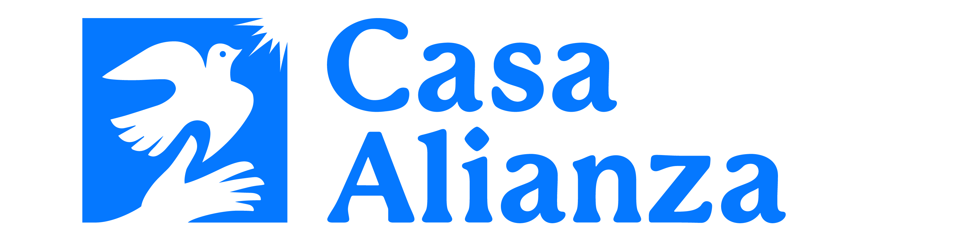 Home Casa Alianza